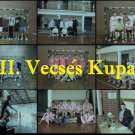 Vecsés kupa 